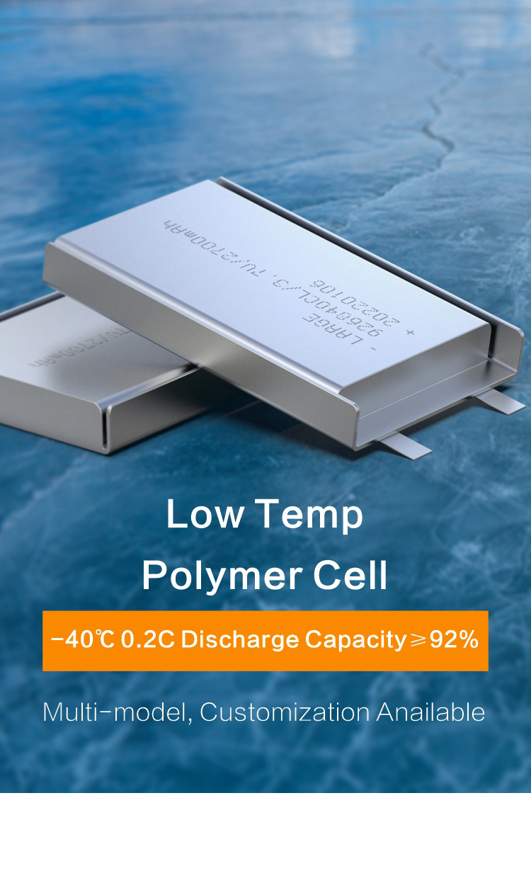 Low Temperature Polymer Cell