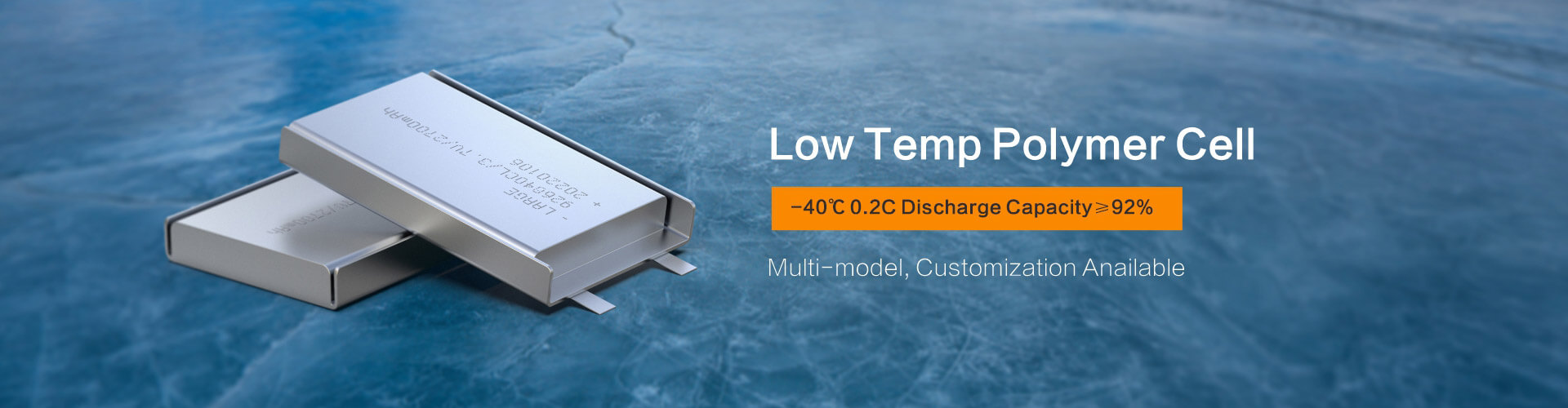 Low Temperature Polymer Cell