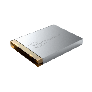 2700mAh 3.7V Lithium Ion Battery for Data Collection Terminal