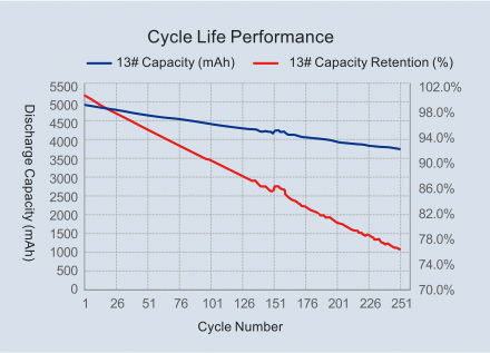 Cycle Life Testing