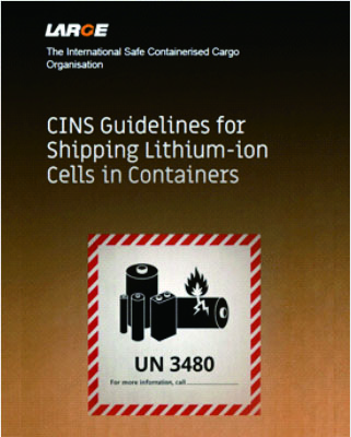 cins-guidelines